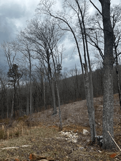Lot 173 Shagbark Court, Ellijay GA 30541 - Photo