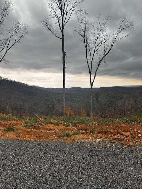 Lot 173 Shagbark Court, Ellijay GA 30541 - Photo