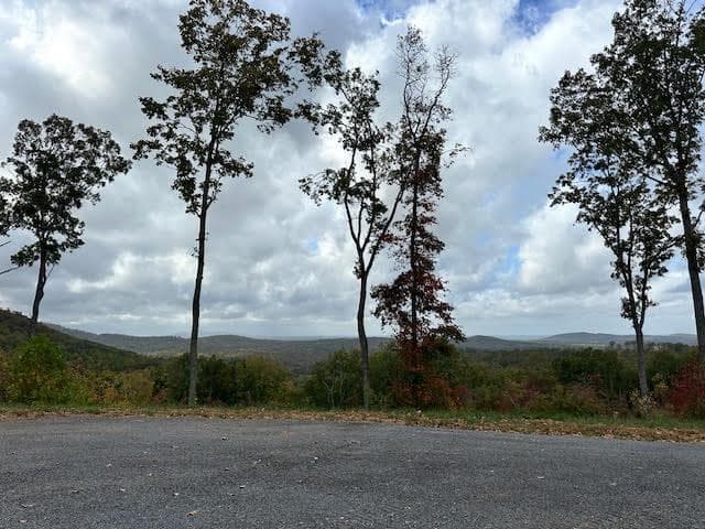Lot 173 Shagbark Court, Ellijay GA 30541 - Primary photo