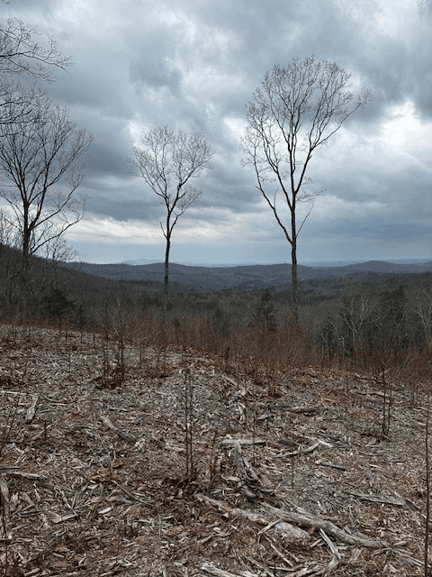 Lot 173 Shagbark Court, Ellijay GA 30541 - Photo