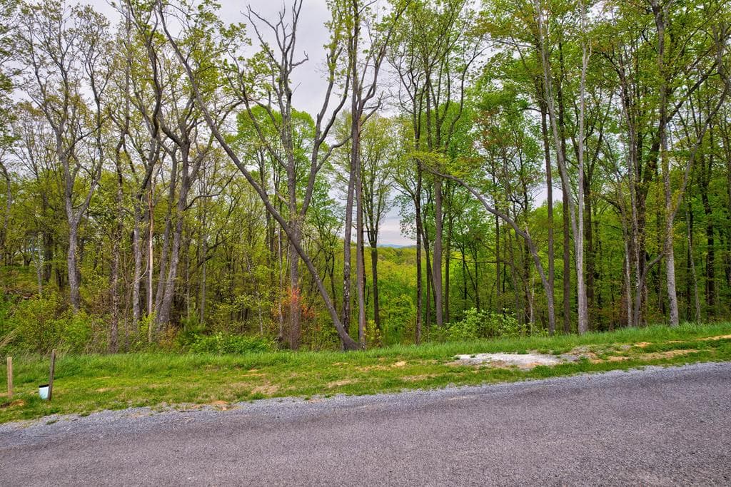 Lot 173 Shagbark Court, Ellijay GA 30541 - Photo