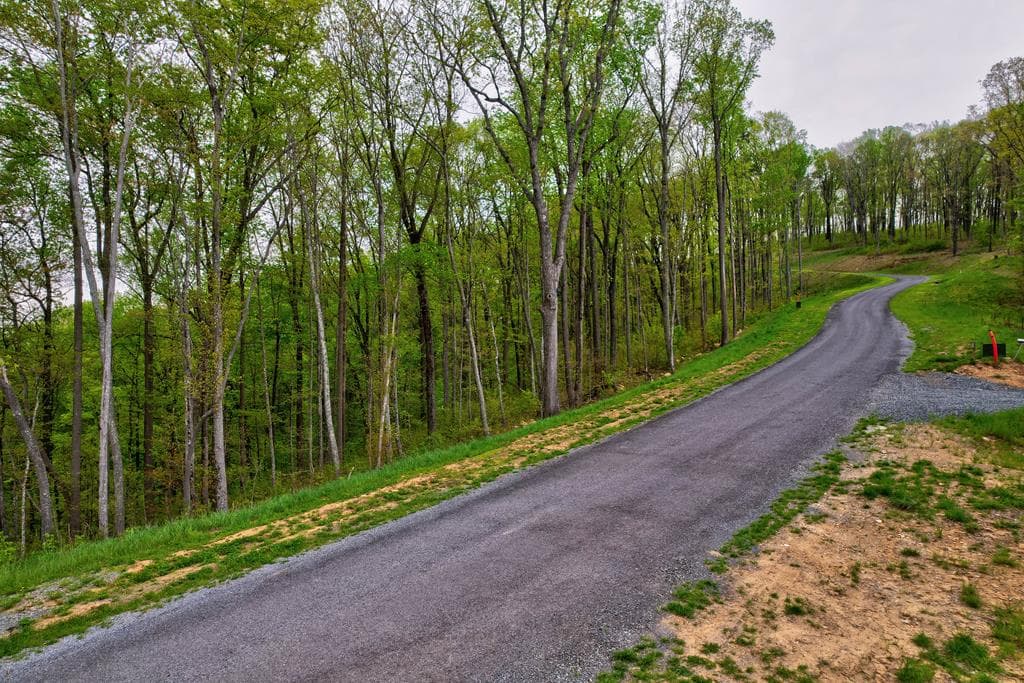 Lot 173 Shagbark Court, Ellijay GA 30541 - Photo