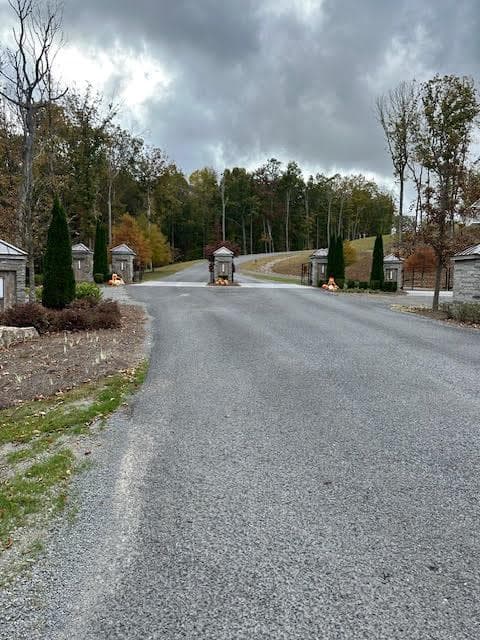 Lot 173 Shagbark Court, Ellijay GA 30541 - Photo