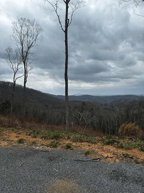 Lot 173 Shagbark Court, Ellijay GA 30541 - Photo