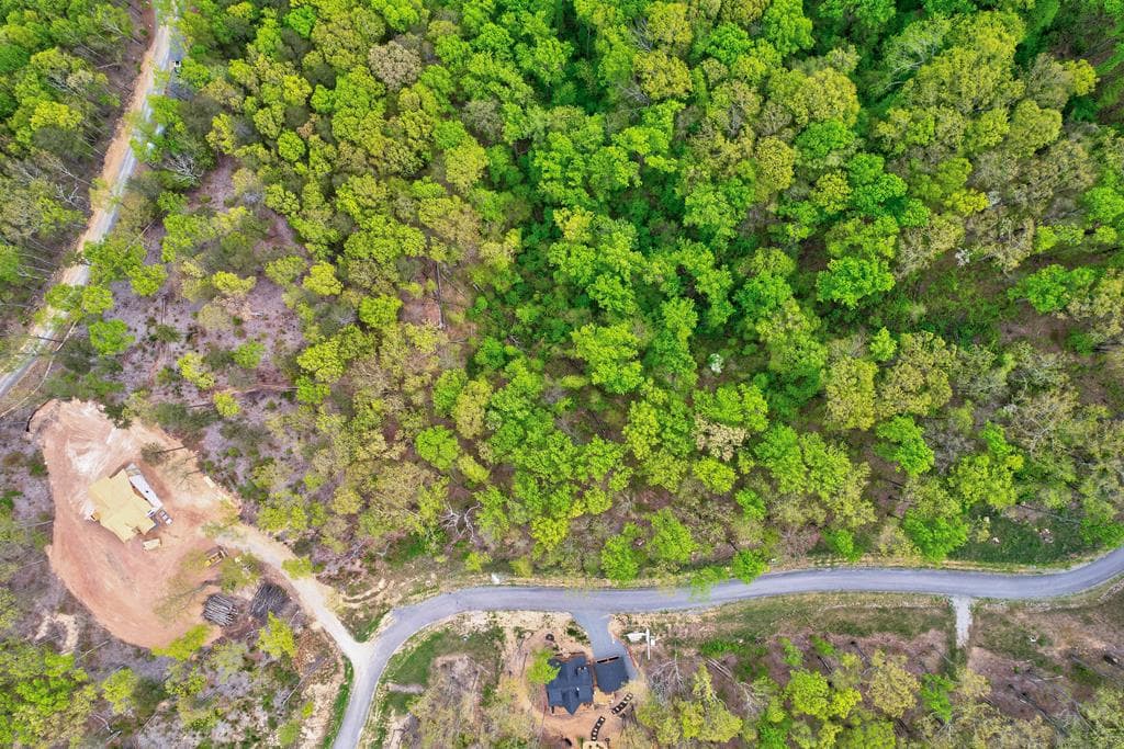 Lot 173 Shagbark Court, Ellijay GA 30541 - Photo