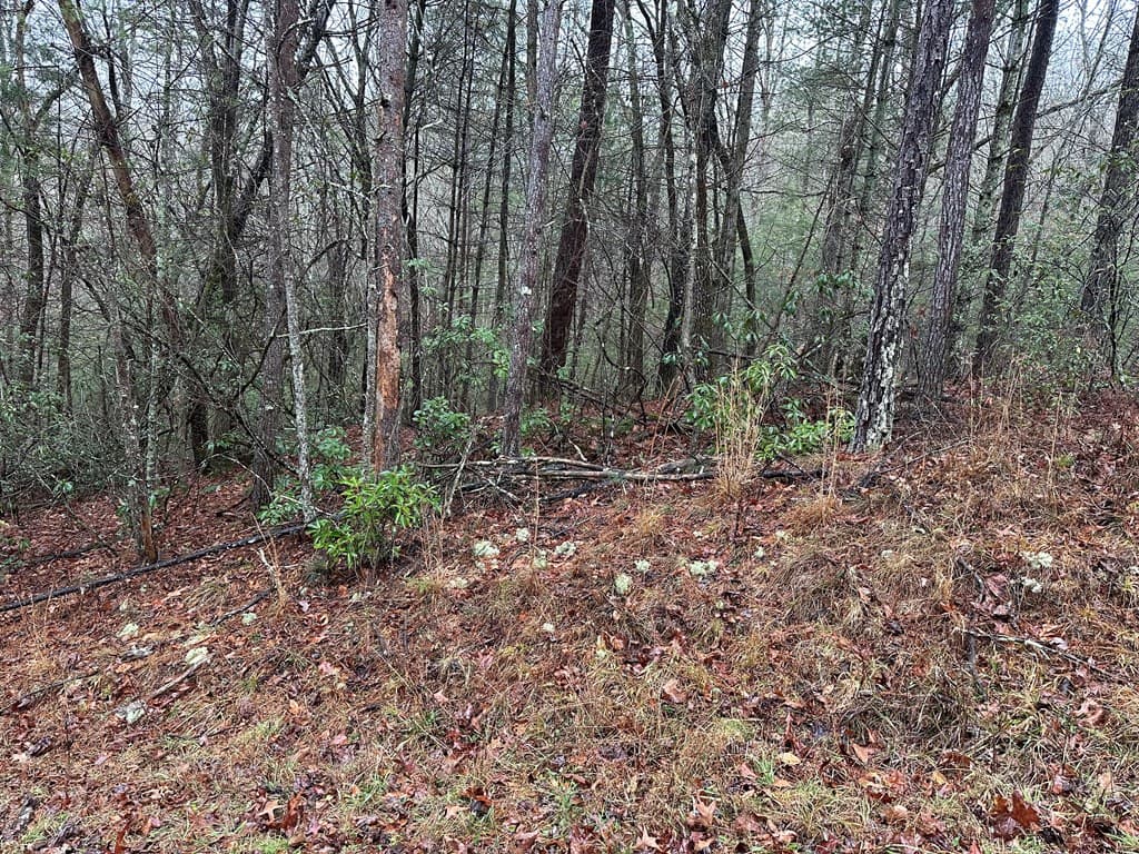 0 Graham Court, Ellijay GA 30540 - Photo