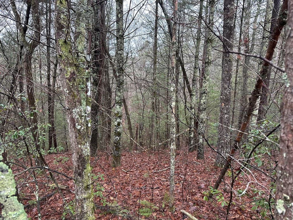 0 Graham Court, Ellijay GA 30540 - Photo