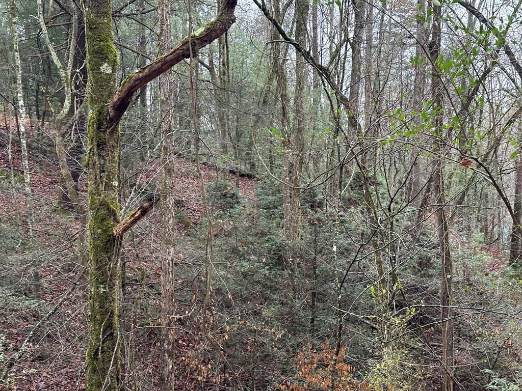 0 Graham Court, Ellijay GA 30540 - Photo