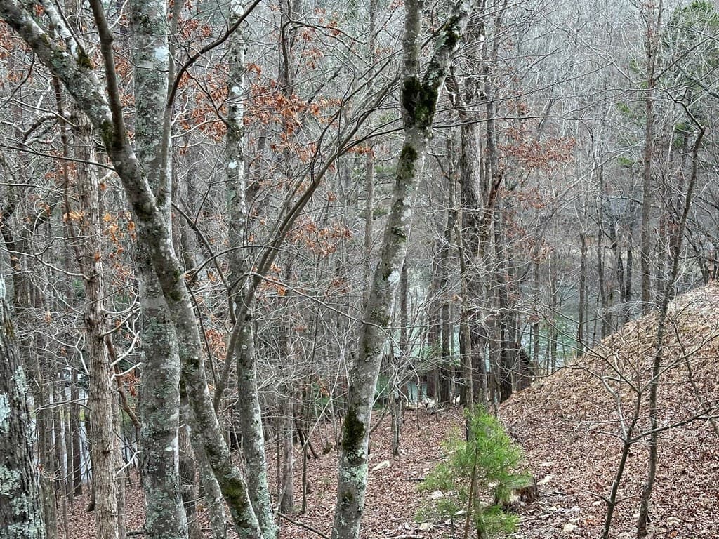 0 Dawn Court, Ellijay GA 30540 - Photo