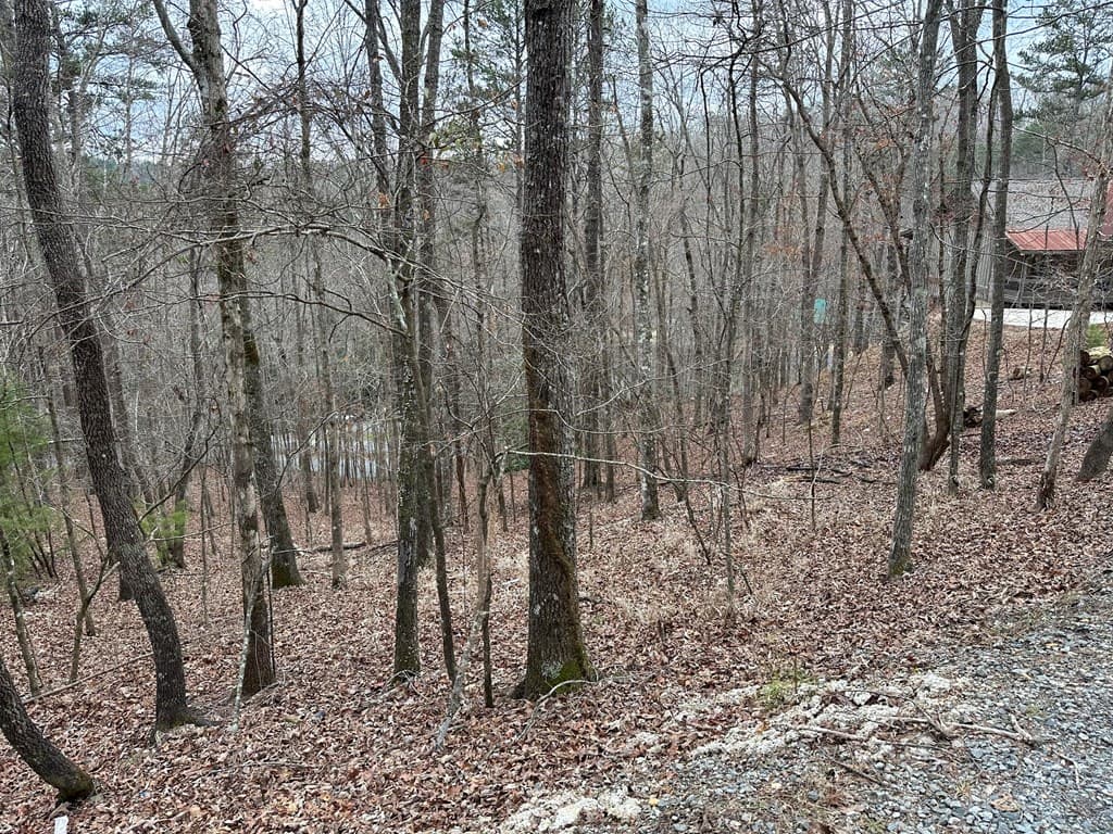 0 Dawn Court, Ellijay GA 30540 - Photo