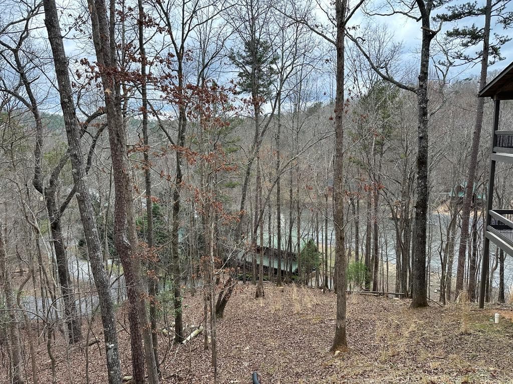 0 Dawn Court, Ellijay GA 30540 - Primary photo