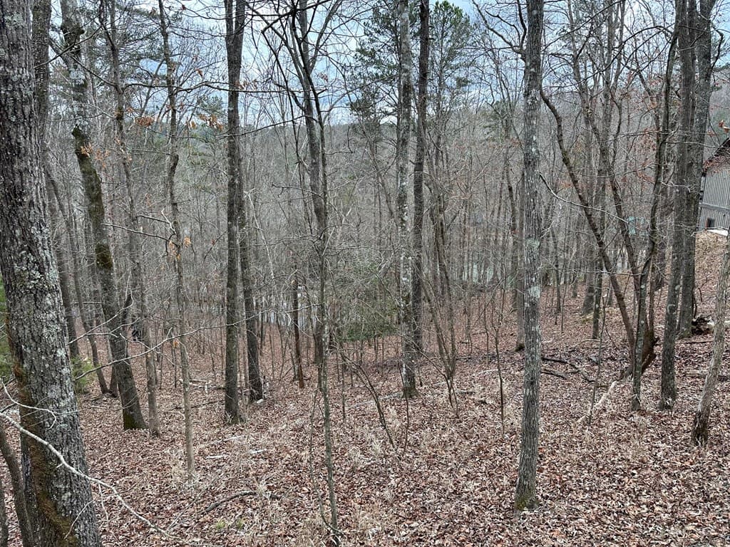 0 Dawn Court, Ellijay GA 30540 - Photo