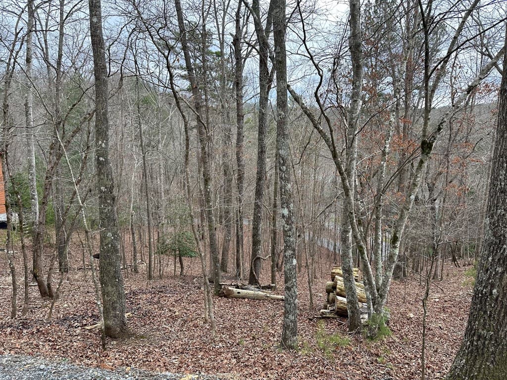 0 Dawn Court, Ellijay GA 30540 - Photo
