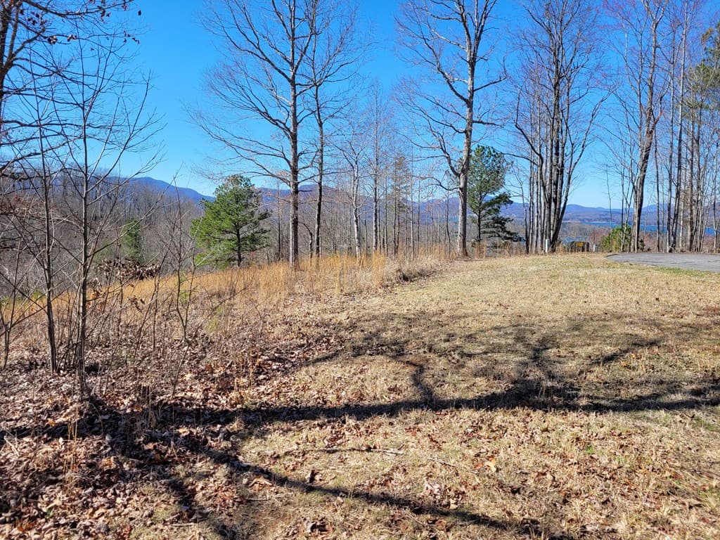 Lot 25 Dan Knob Drive, Hayesville NC 28904 - Photo