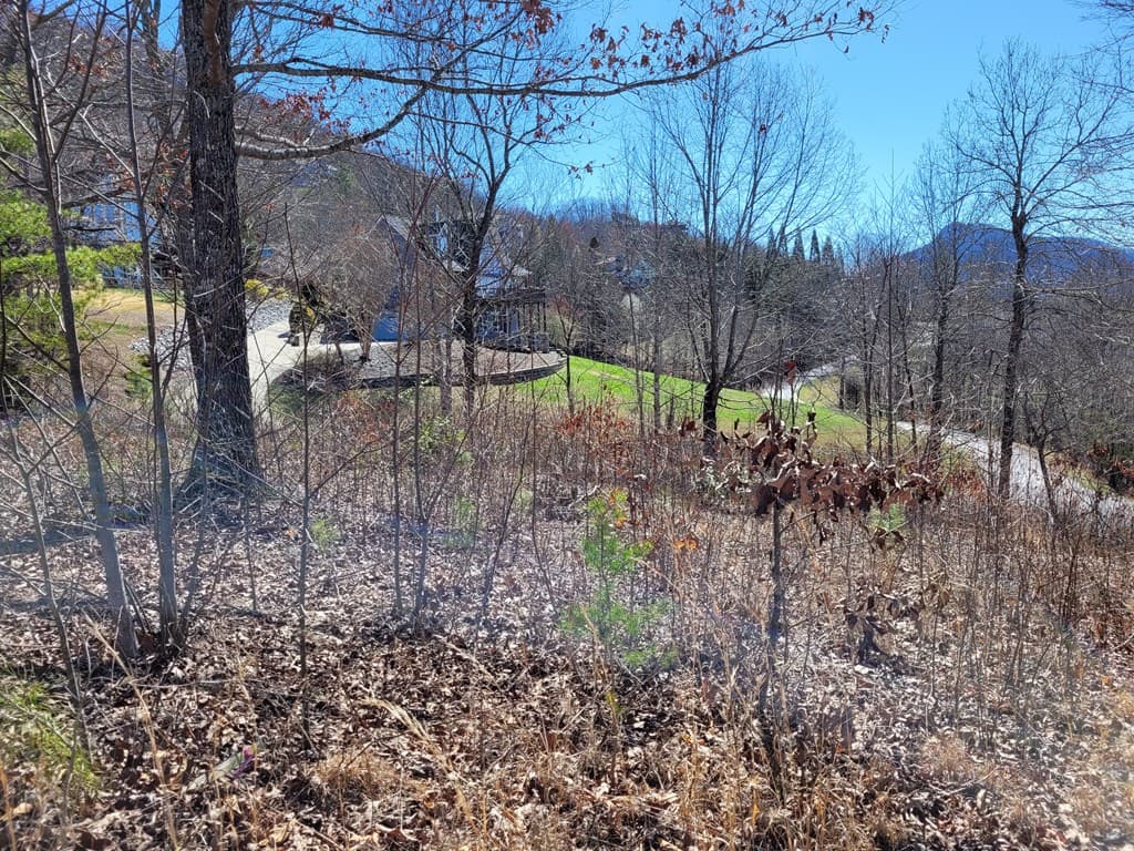 Lot 25 Dan Knob Drive, Hayesville NC 28904 - Photo