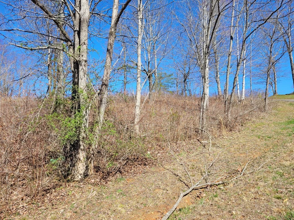 Lot 25 Dan Knob Drive, Hayesville NC 28904 - Photo