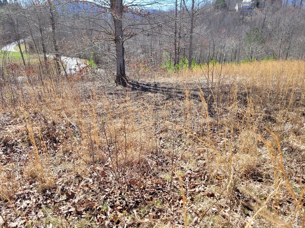 Lot 25 Dan Knob Drive, Hayesville NC 28904 - Photo