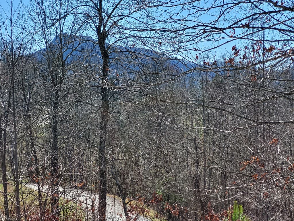 Lot 25 Dan Knob Drive, Hayesville NC 28904 - Photo