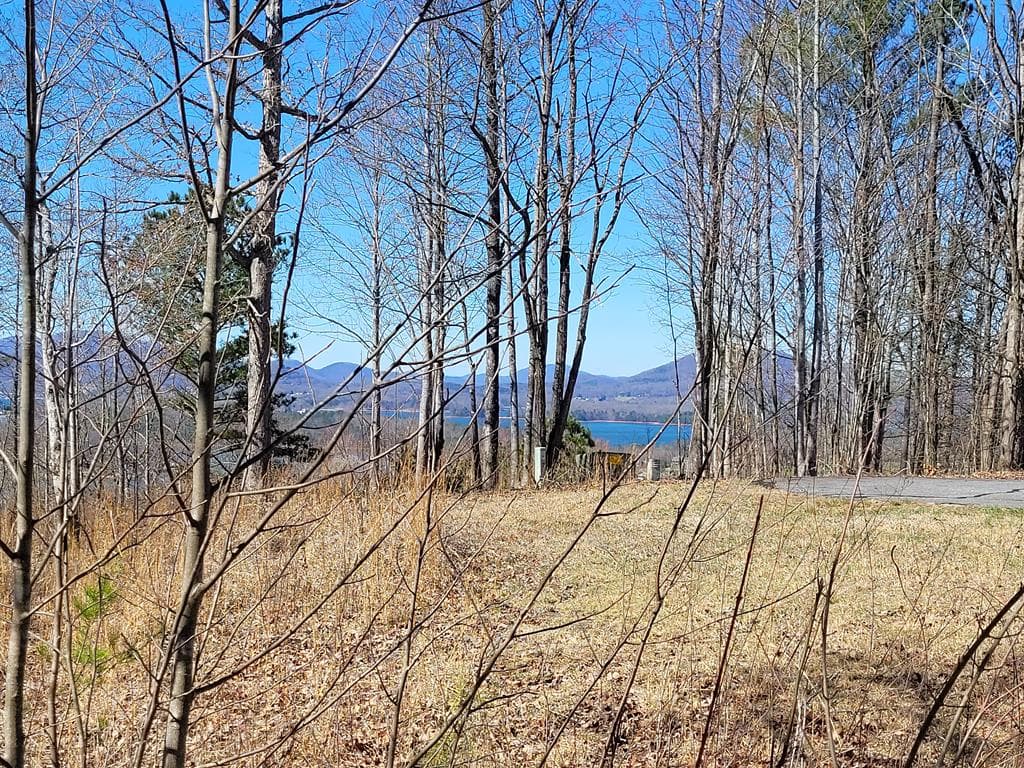 Lot 25 Dan Knob Drive, Hayesville NC 28904 - Primary photo