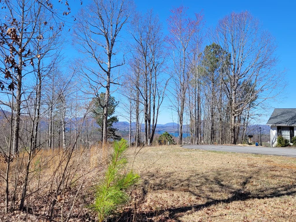 Lot 25 Dan Knob Drive, Hayesville NC 28904 - Photo