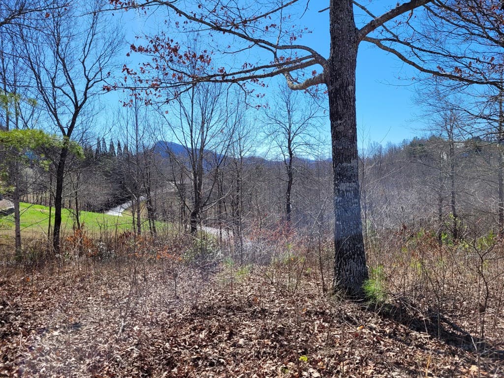 Lot 25 Dan Knob Drive, Hayesville NC 28904 - Photo