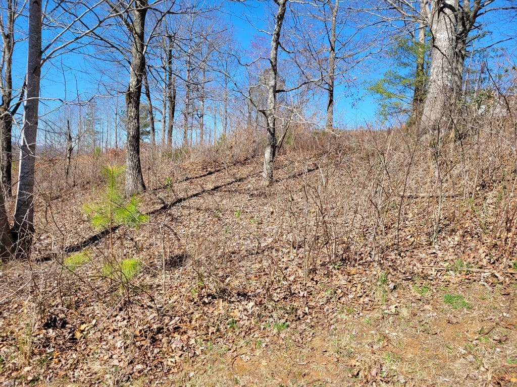 Lot 25 Dan Knob Drive, Hayesville NC 28904 - Photo