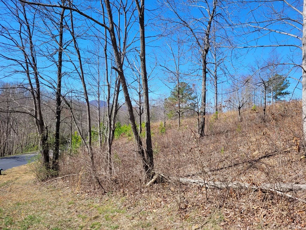Lot 25 Dan Knob Drive, Hayesville NC 28904 - Photo
