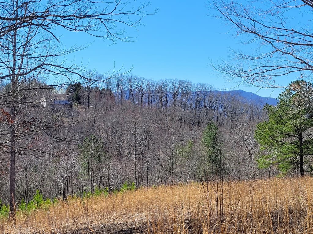 Lot 25 Dan Knob Drive, Hayesville NC 28904 - Photo