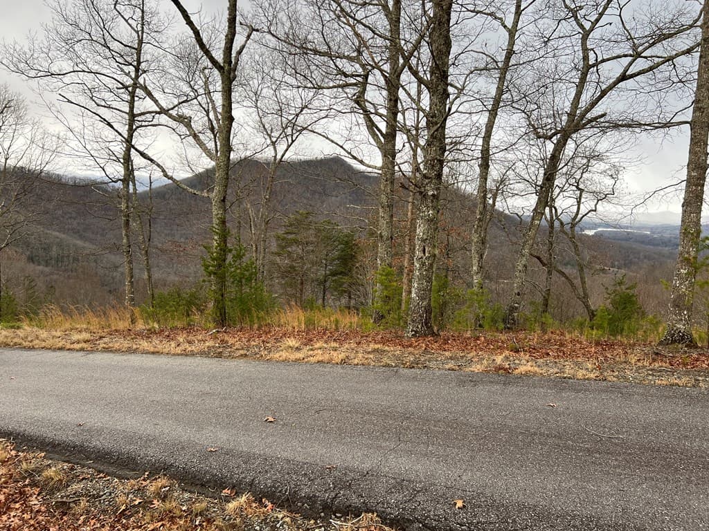 Lot 137 Shiloh, Hayesville NC 28904 - Photo
