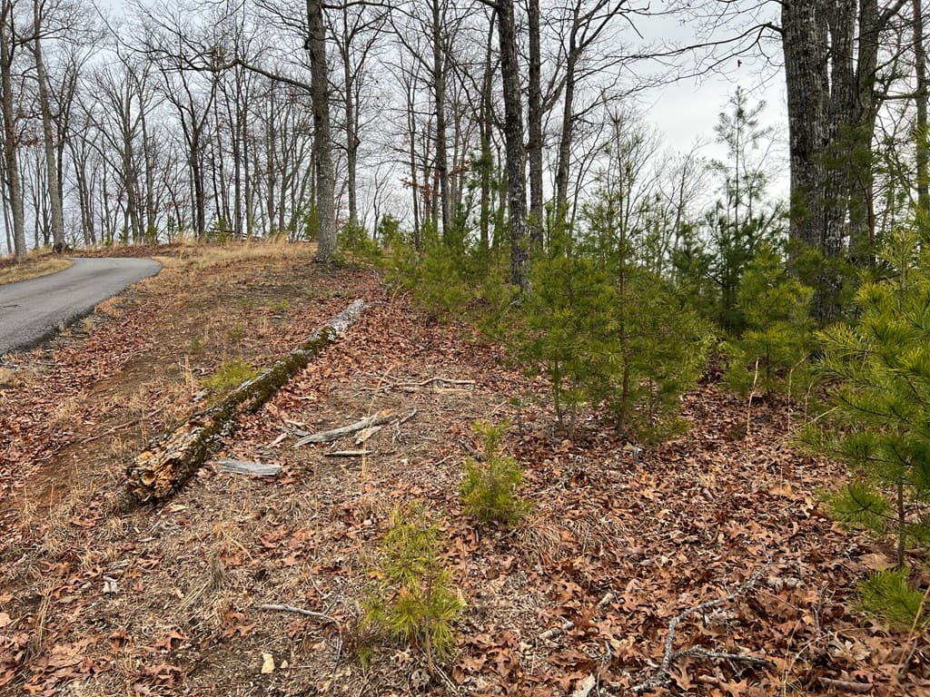 Lot 137 Shiloh, Hayesville NC 28904 - Photo