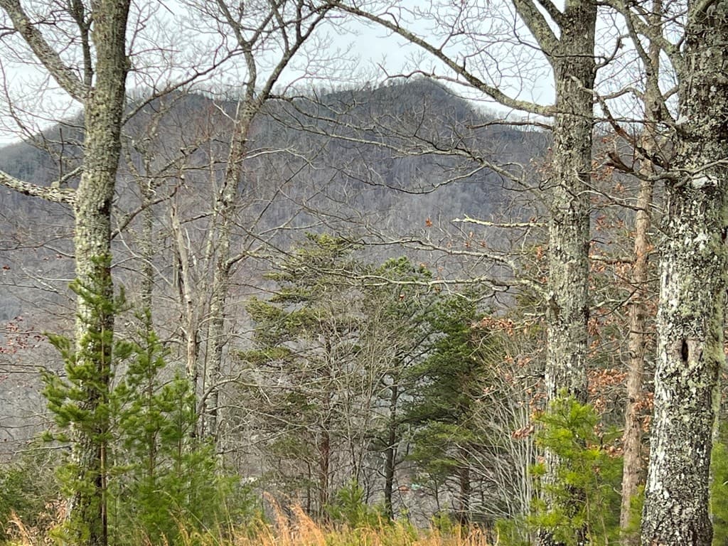 Lot 137 Shiloh, Hayesville NC 28904 - Photo