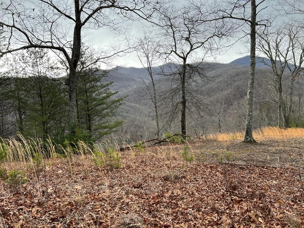 Lot 137 Shiloh, Hayesville NC 28904 - Primary photo