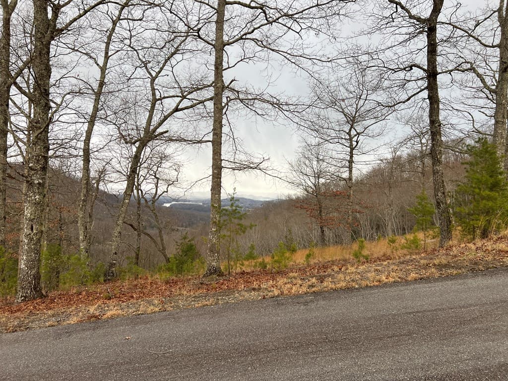 Lot 137 Shiloh, Hayesville NC 28904 - Photo