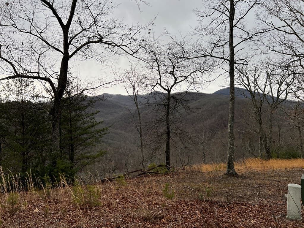 Lot 137 Shiloh, Hayesville NC 28904 - Photo