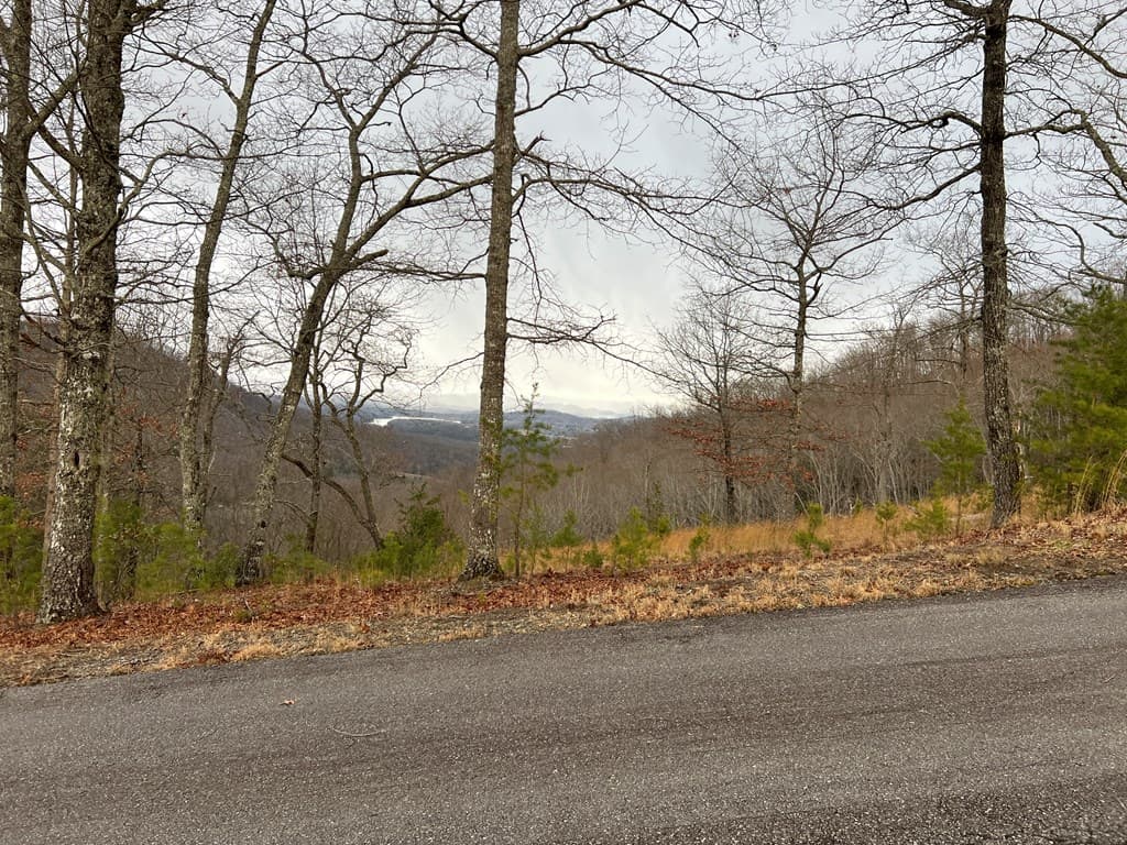 Lot 137 Shiloh, Hayesville NC 28904 - Photo