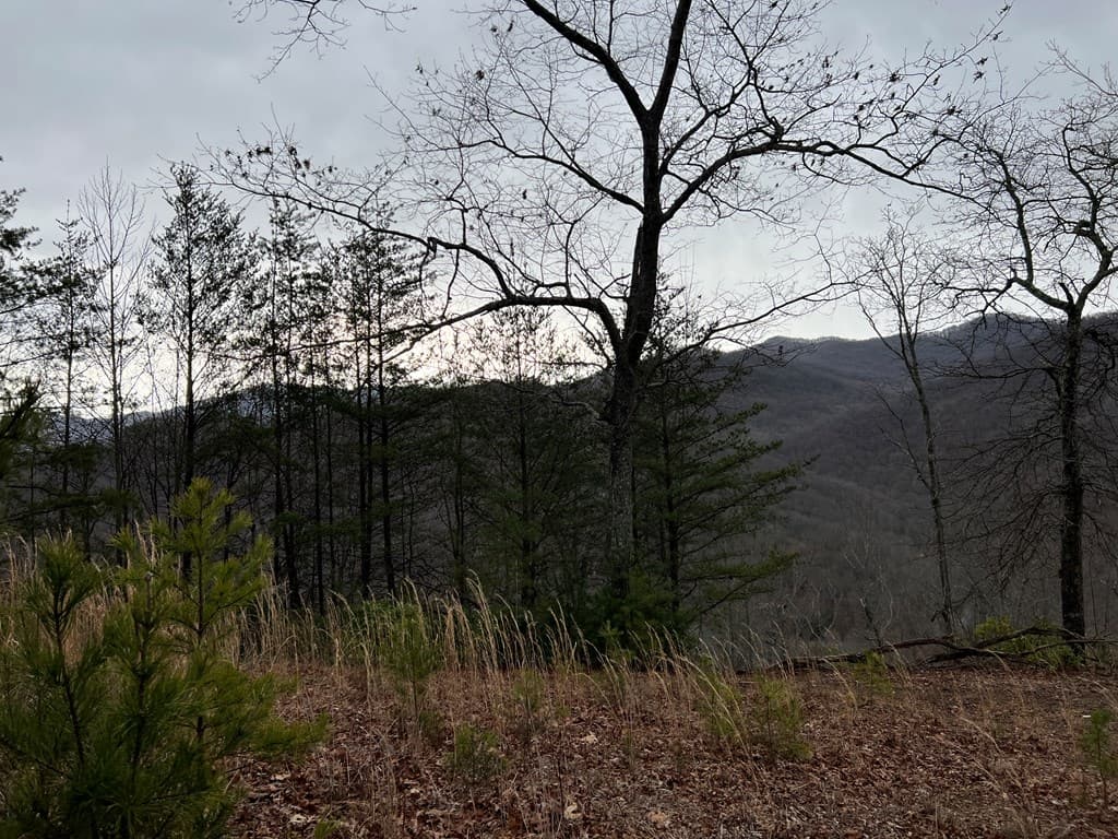 Lot 137 Shiloh, Hayesville NC 28904 - Photo