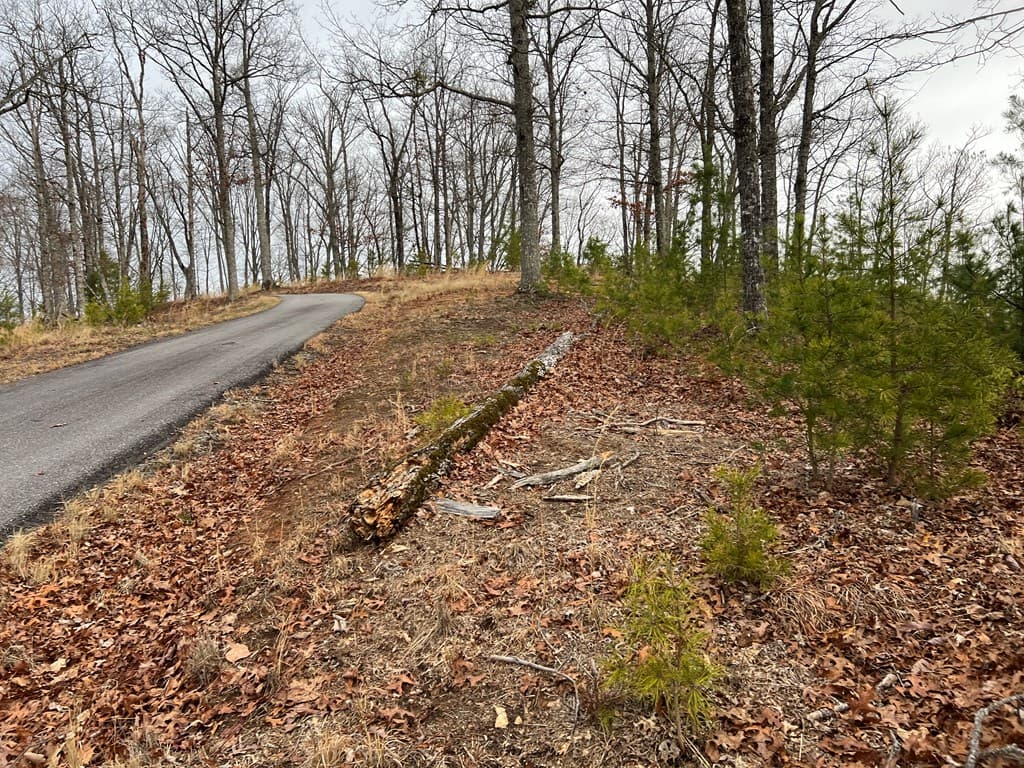 Lot 137 Shiloh, Hayesville NC 28904 - Photo