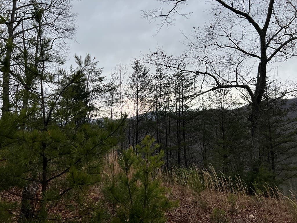 Lot 137 Shiloh, Hayesville NC 28904 - Photo