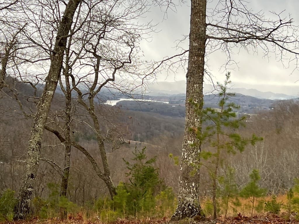 Lot 137 Shiloh, Hayesville NC 28904 - Photo