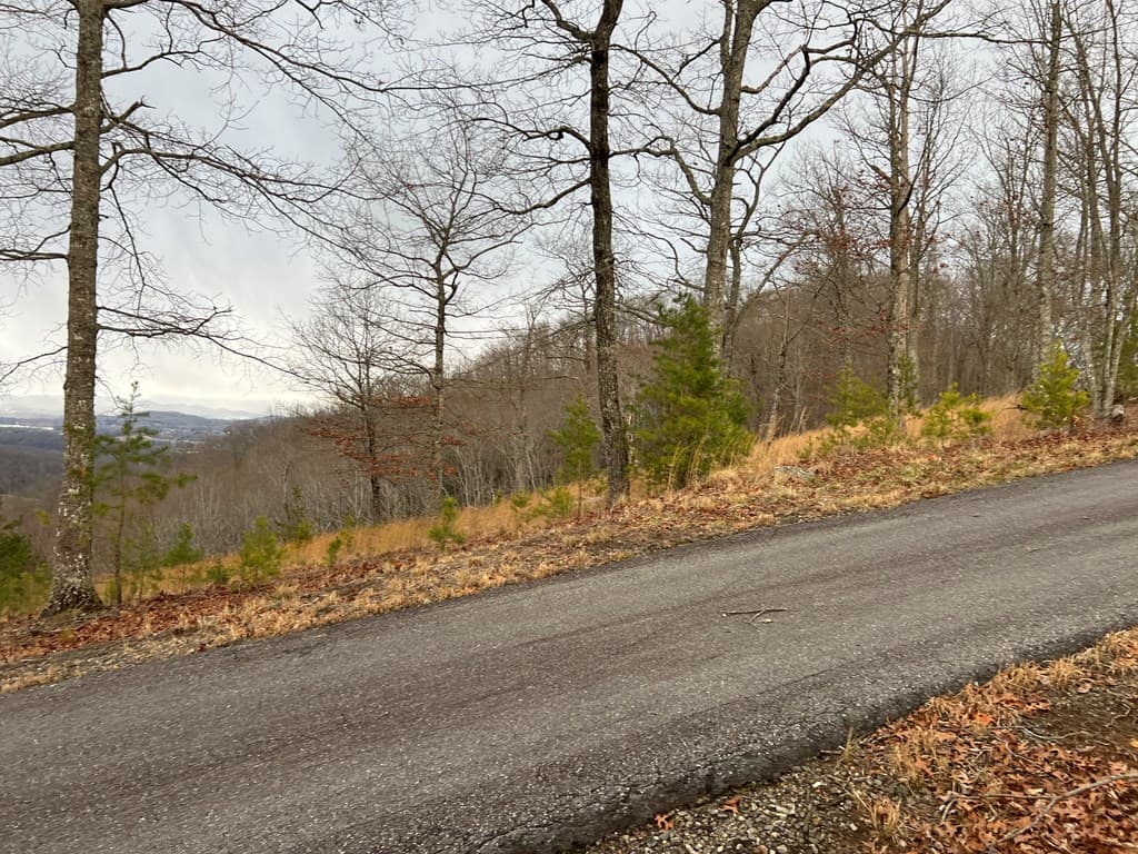 Lot 137 Shiloh, Hayesville NC 28904 - Photo