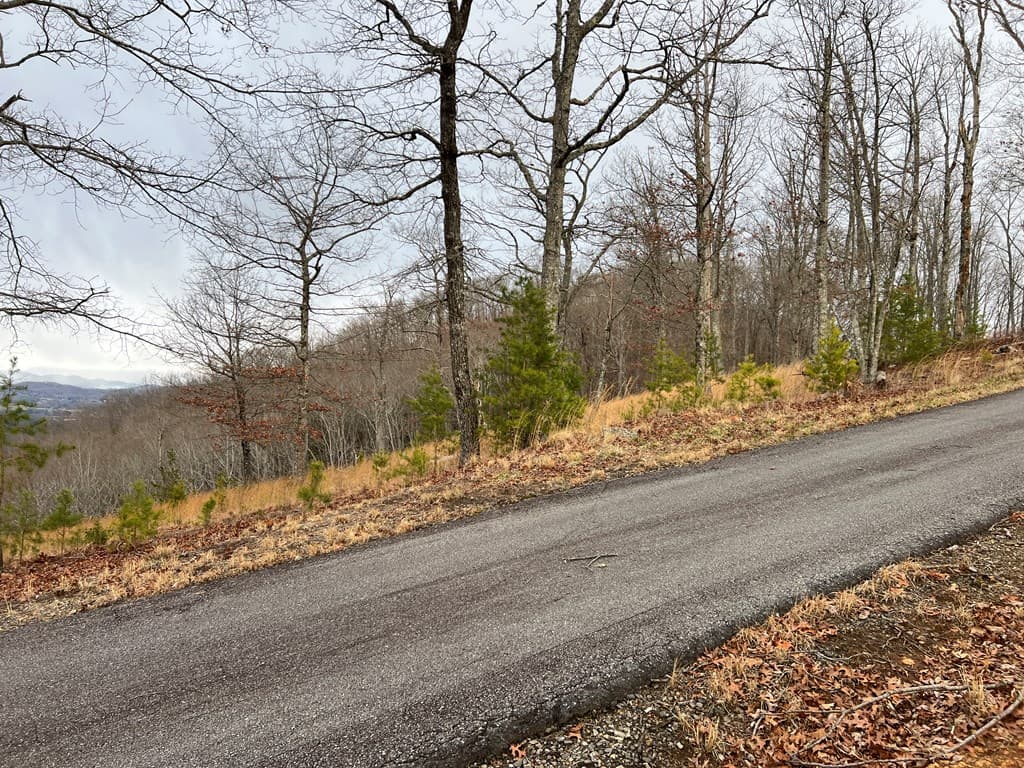 Lot 137 Shiloh, Hayesville NC 28904 - Photo