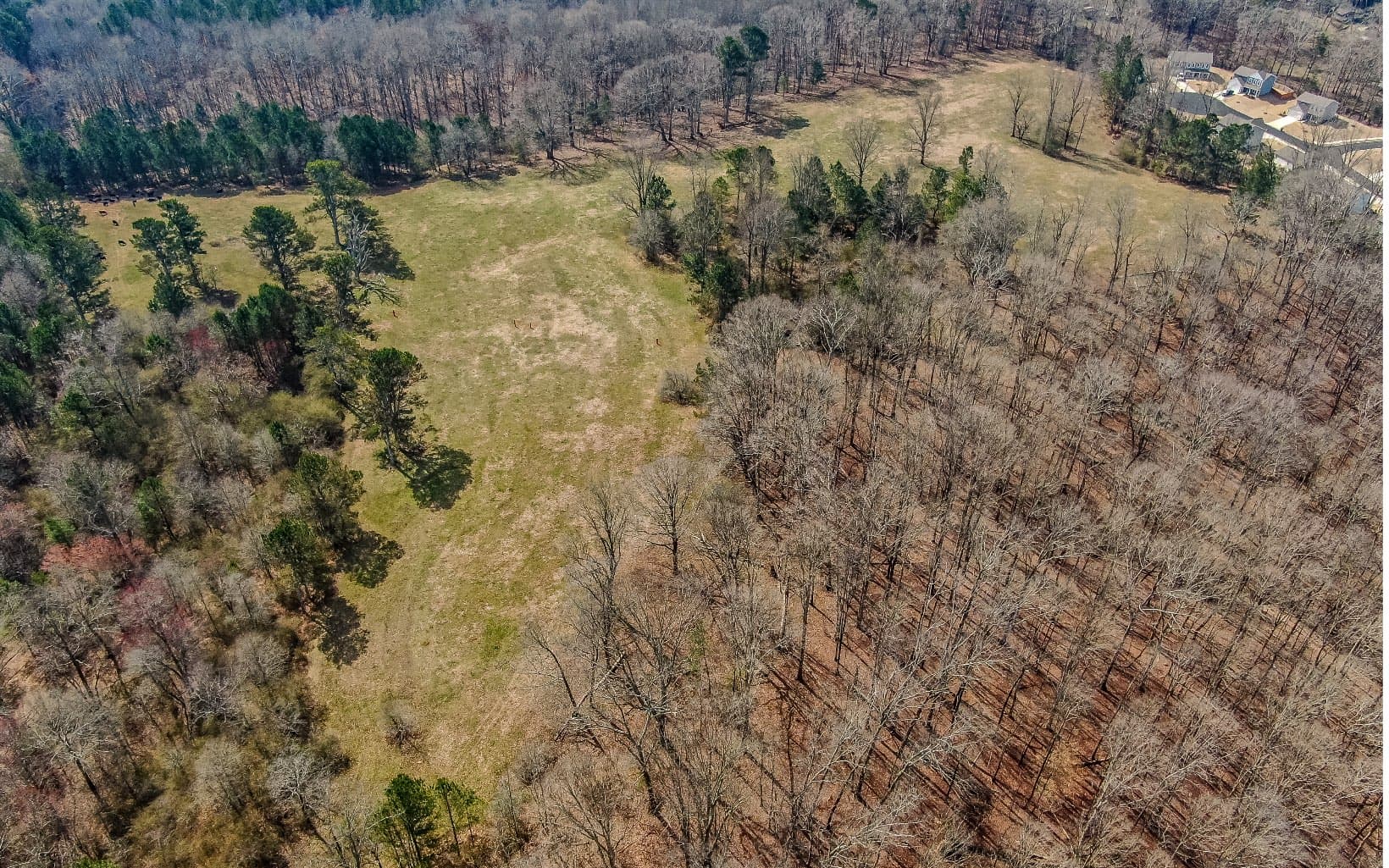27.55 AC Bannister Road, Cumming GA 30028 - Photo