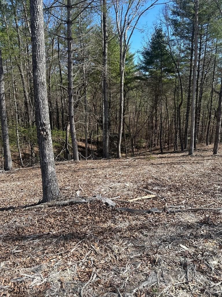 Lot 188 The Ridges, Morganton GA 30560 - Photo