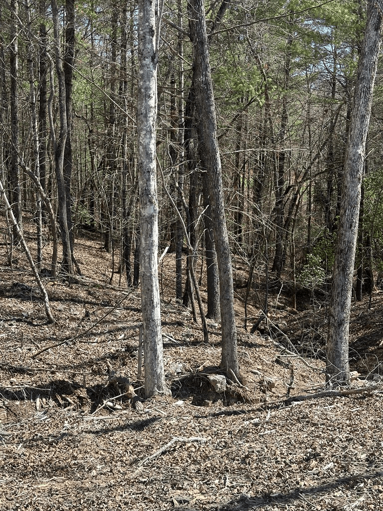 Lot 188 The Ridges, Morganton GA 30560 - Photo