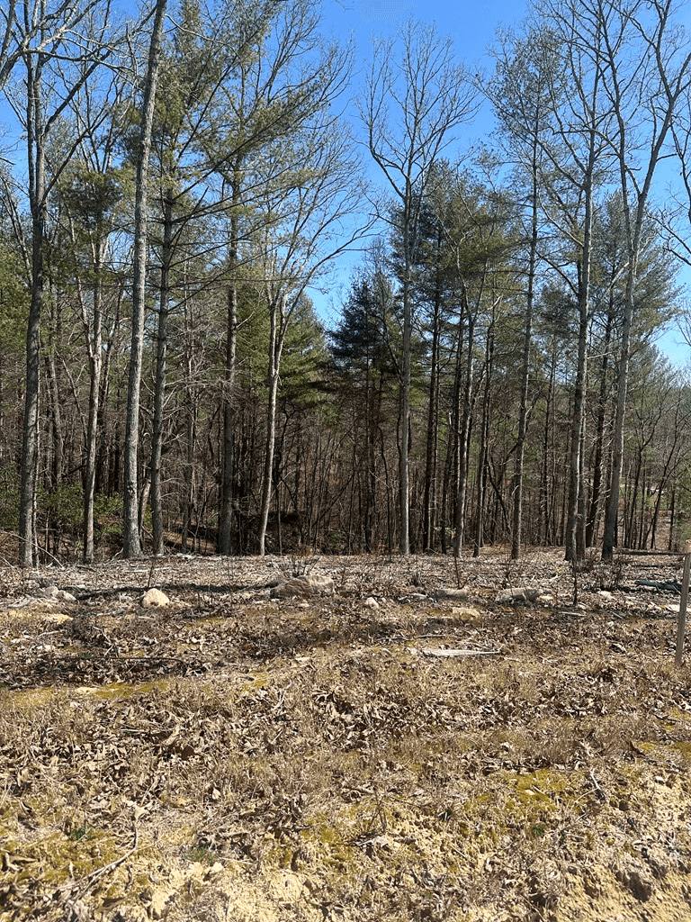 Lot 188 The Ridges, Morganton GA 30560 - Photo