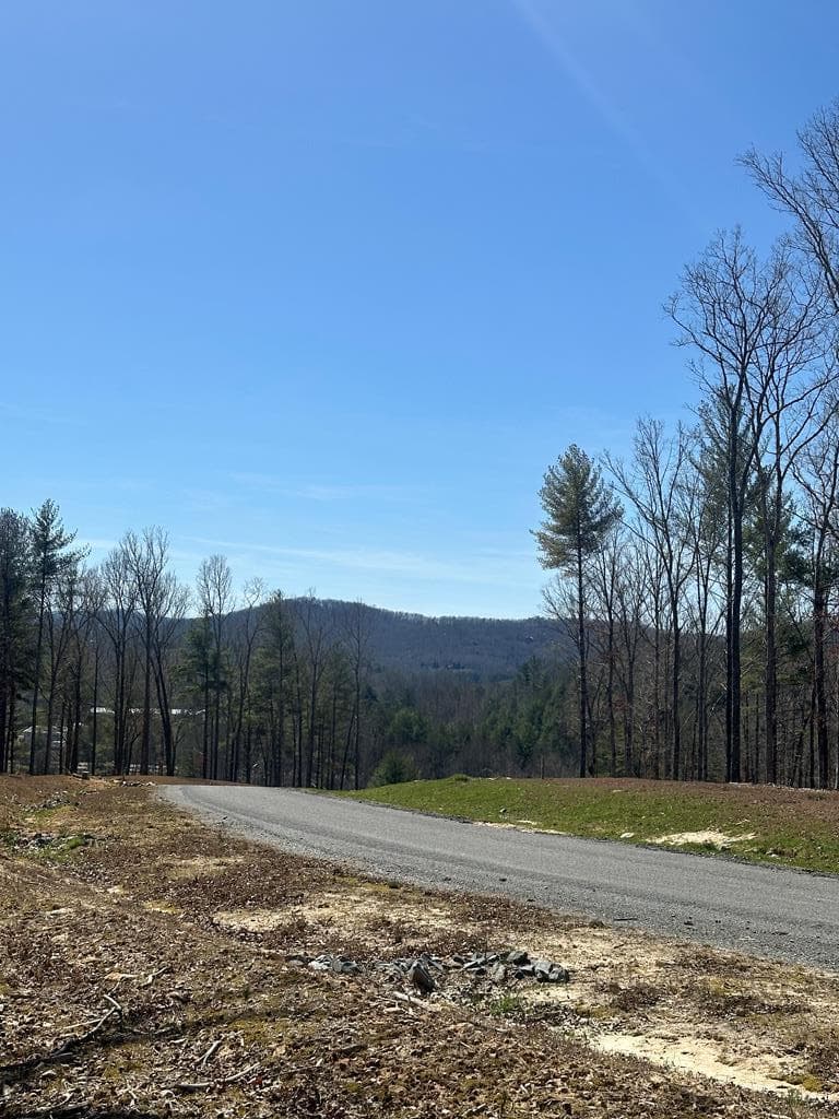 Lot 188 The Ridges, Morganton GA 30560 - Primary photo