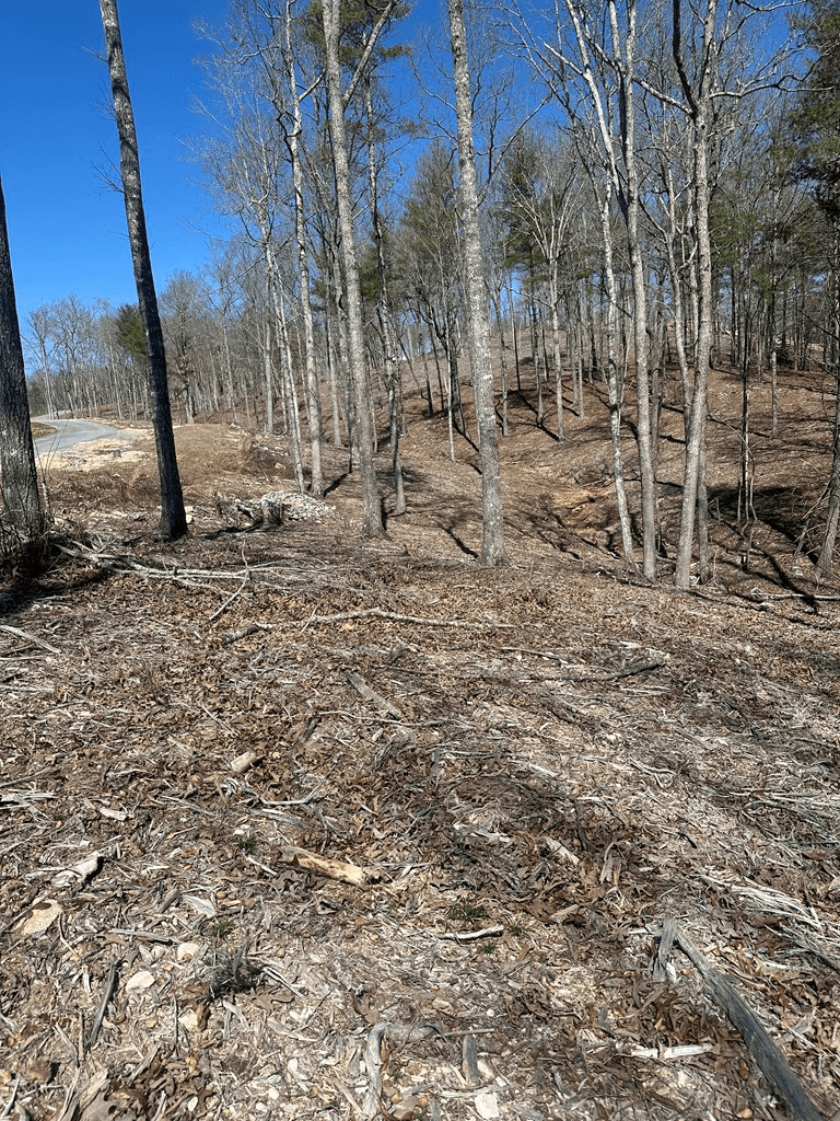 Lot 188 The Ridges, Morganton GA 30560 - Photo