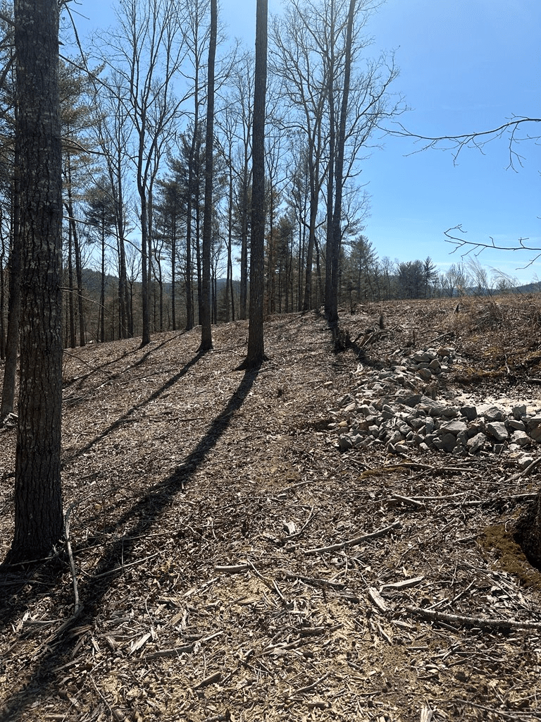 Lot 188 The Ridges, Morganton GA 30560 - Photo