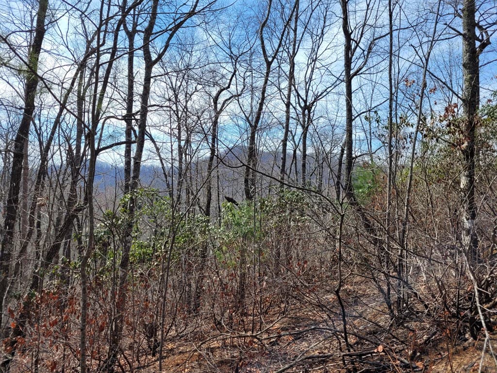 14 Flaming Ridge, Hayesville NC 28904 - Photo