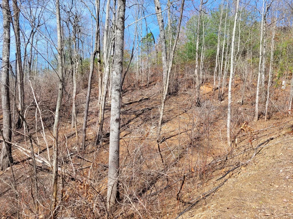14 Flaming Ridge, Hayesville NC 28904 - Photo